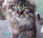 изображение_viber_2025-03-22_21-30-51-691
