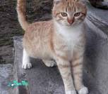 изображение_viber_2025-03-22_21-30-49-850