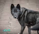 IMG-57f292509ed6ec24aee1f72f3ffde205-V
