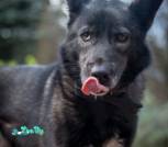 IMG-66917a43fa31faa914602bac3aa00b2f-V
