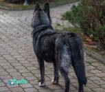 IMG-aafb12c4a6d47a022531fcef94662026-V