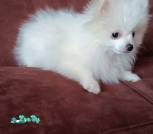 IMG-708cd5d0056df707ae5645d9c03b3d0e-V