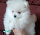 IMG-da8d13700c62a2e2cec373c5c8137391-V