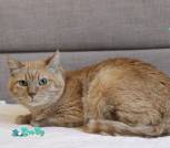 IMG_20250430_105517_407