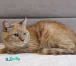 IMG_20250430_105518_016