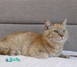 IMG_20250430_105521_763