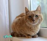 IMG_20250430_105525_462