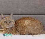 IMG_20250430_105529_472