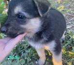 изображение_viber_2025-05-04_11-50-37-888