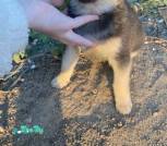 изображение_viber_2025-05-04_11-50-38-106
