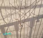 Screenshot_3825