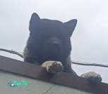 IMG-38212cfec7c19593461e8337bd691c8a-V