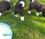 IMG_20250519_180245