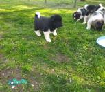 IMG_20250519_180314