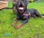 IMG_20250523_235313_485