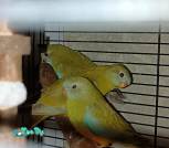 IMG_20250520_220009