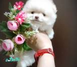 IMG_20250525_175801