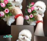 IMG_20250525_185357