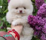 IMG_20250527_194953