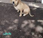 изображение_viber_2025-06-11_22-33-05-446