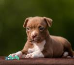 IMG-b5c32c52d3417ff1eb0283bf8f1ada3b-V