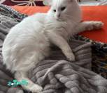 IMG-3787815e2d2af164ed5a28336fe5c15f-V