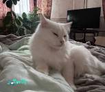 IMG-c33f1629430ace76d0fca00936e02107-V