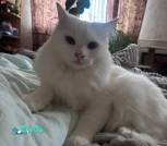 IMG-e8fe50b82319b1883406168d850e7585-V