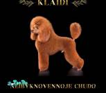 8355DF69-555A-4AE8-AA4B-129F00E59805