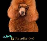 B47E699E-6F77-4560-ABE7-92ED74D83CF2