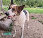 IMG-9cfc39ccafa0baff8d696d95a7669a90-V