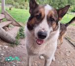 IMG-a3b2bb99504fae9936628e6a613bd4f2-V