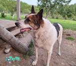 IMG-cdde65965f3bc38ecf6f872fc75d9ff7-V