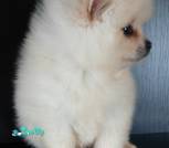 IMG-b466cda67aa82ddbfc44a74eb1085e02-V