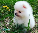 photo_2021-05-06_15-06-50