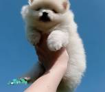 photo_3_2024-05-01_14-16-32