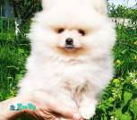 photo_2021-05-29_15-32-46