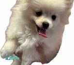 IMG_20250717_204452_560