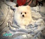 IMG_20250717_205004_963