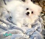 IMG_20250717_205005_005