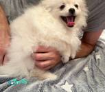 IMG_20250717_205005_080