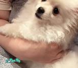 IMG_20250717_205005_310