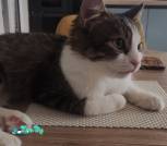 IMG-347ab096c511180fd5f208bf9f6a2eaf-V