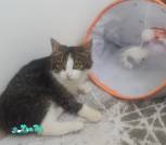 IMG-592683af0cd39d630cff08e1999e9d8a-V