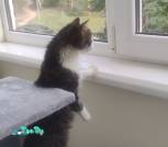 IMG-ed7f3e6fddfa032f7f10493e79d3f35a-V