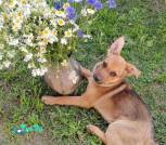 IMG_20250722_115827_889