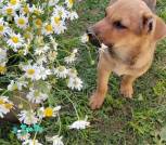 IMG_20250722_115828_073