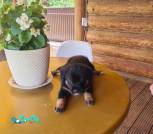 IMG-0c94c448305151cf183fc917eb1f0eac-V