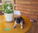 IMG-9b83eeba4e775c45f88c0981d4faabe8-V