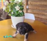 IMG-ddd4c3eb41b544ce8928b4902f159abc-V